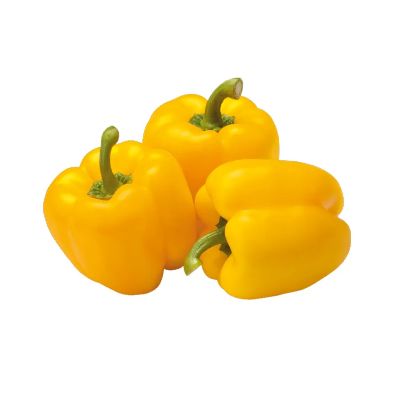 Ají morrón amarillo / und