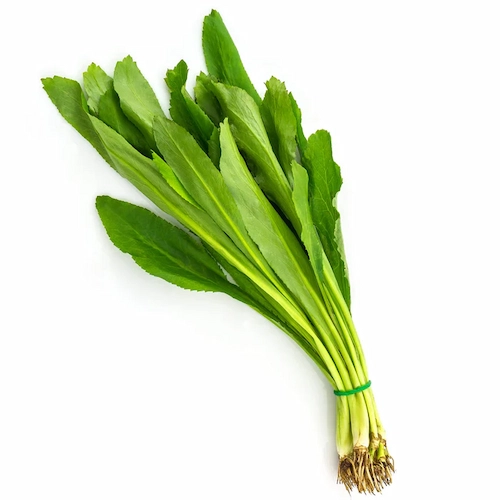 Cilantro ancho / paq.